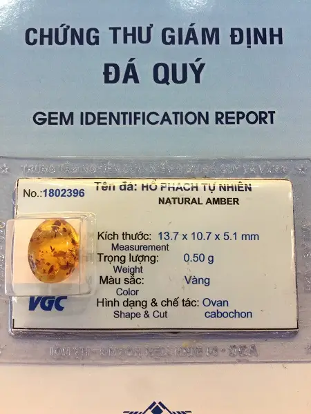 Mặt Hổ Phách Mang Bên Người Tự nhiên - 1802396