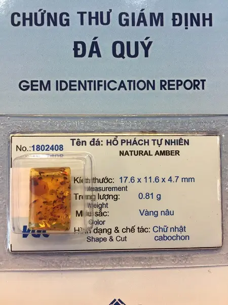 Mặt Hổ Phách Mang Bên Người Tự nhiên - 1802408