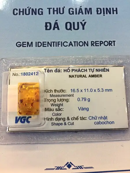 Mặt Hổ Phách Mang Bên Người Tự nhiên - 1802412