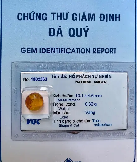 Mặt Hổ Phách Mang Bên Người Tự nhiên - 1802363