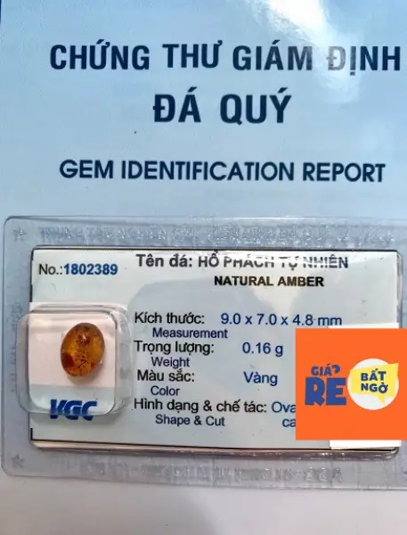 Mặt Hổ Phách Mang Bên Người Tự nhiên - 1802389