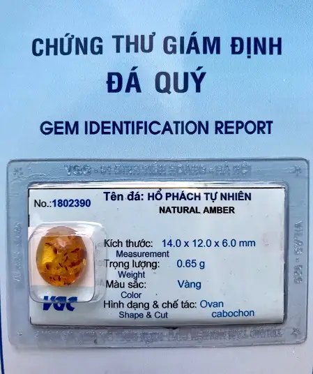 Mặt Hổ Phách Mang Bên Người Tự nhiên - 1802390