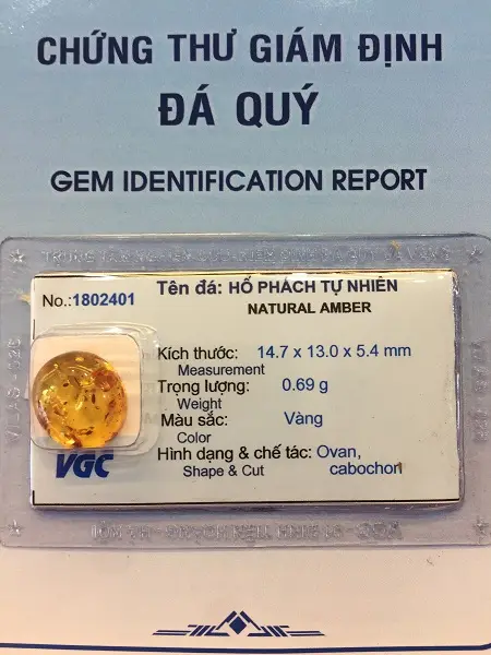 Mặt Hổ Phách Mang Bên Người Tự nhiên - 1802401