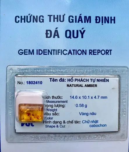 Mặt Hổ Phách Mang Bên Người Tự nhiên - 1802410
