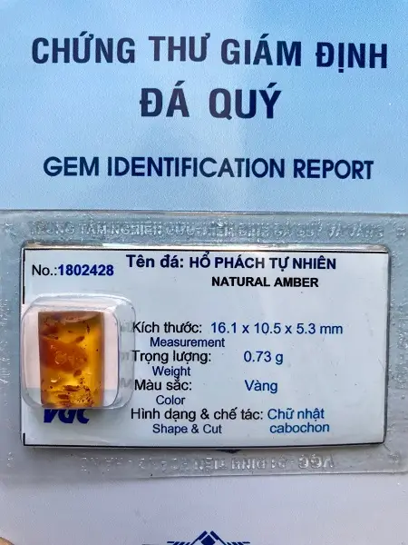 Mặt Hổ Phách Mang Bên Người Tự nhiên - 1802428