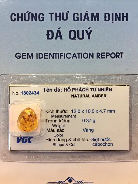 Mặt Hổ Phách Mang Bên Người Tự nhiên - 1802434