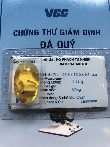 Mặt Hổ Phách Mang Bên Người Tự nhiên - 1803753