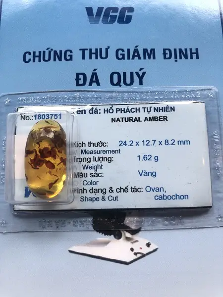 Mặt Hổ Phách Mang Bên Người Tự nhiên - 1803751
